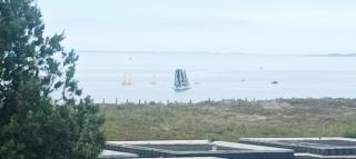 Appartement vue mer exceptionnelle à 100m très belle plage - Saint-Gildas-de-Rhuys - 5