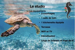 Studio Zandoli P&V - 9