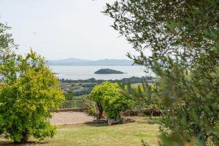 Villa Domus Papi by Great Stays - 8