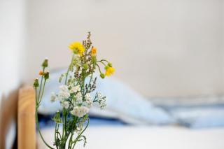 Ferienhaus 'Zum tänzelnden Pony' - 1