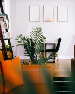 Luxurious New Remodeled - Chicago - 6