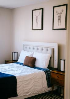 Luxurious New Remodeled - Chicago - 5