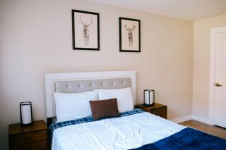 Luxurious New Remodeled - Chicago - 4