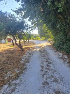Viale del Sole - il Trullo - Locorotondo - 9