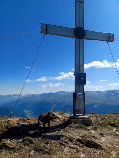 Apart Michl - Nauders - 2