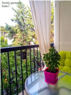 Orchid Apartments - 4