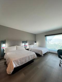 avid hotels - Guadalajara Av Vallarta Pte by IHG - Guadalajara - 5