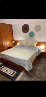 Spyros's Roustic Private Cottage - Kinetta - 2