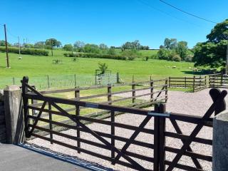 5 Bed in Grindon 79543 - Grindon - 4