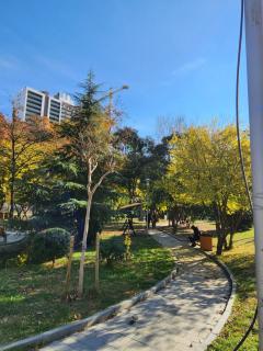 M2 Complex near City Mall with City View in City Center - Tbilisi - 9