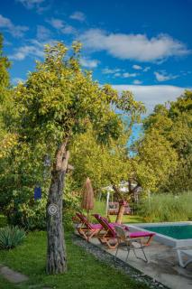 Cottage Kisi - 9