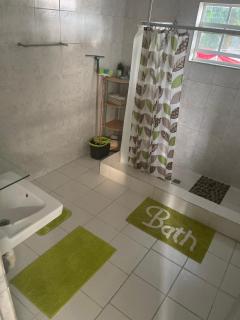Quickest Wolf b&b Amore - Willemstad - 9