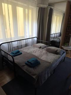 Cozy apartment in the city of Prague 2 - Prague - 8