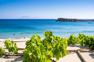 Le Grand Bleu Studios & Apartments - Lefkos Karpathou - 8