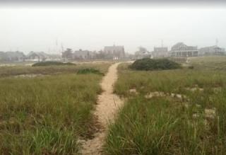 Fresh and Crisp Pet Friendly Studio - 3