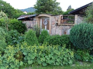 Ferienwohnung Bad Laasphe Bergenie - Bad Laasphe - 3