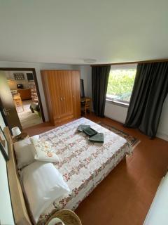 Apartament cu terasa - 2