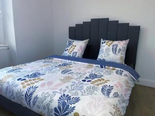 Magnifique Appartement Charmant T3 80M2 Parking Gratuit - Rosheim - 9