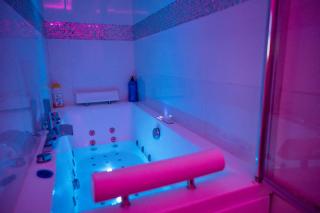 Bron centre appartement meublé avec jacuzzi - Bron - 7