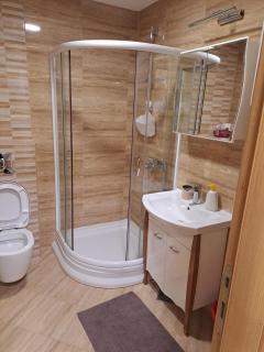 CENTRUM APARTMENT Zlatibor - Zlatibor - 8