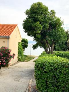Apartment Marina - Petrcane - 2