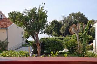 Apartment Marina - Petrcane - 1