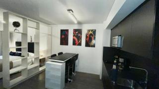 Palermo espectacular luxurious con full amenities - 9