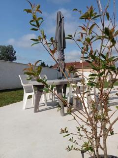 Maison climatisée avec jardin à Sardieu 3km de la Côte St André - Sardieu - 7