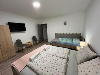 Mini Zoo Apartman - 1