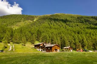 Agriturismo Bosco d'oro Livigno - Livigno - 8