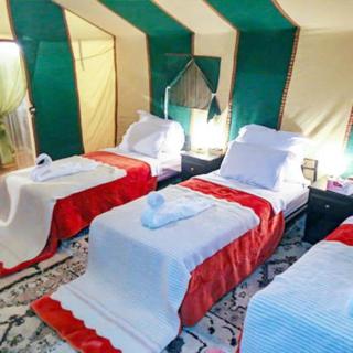 Best Luxury Camp - 3