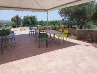 Fattoria La Traccia - Fertilia - 9