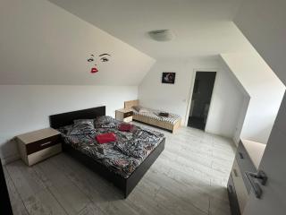 Apartamente de inchiriat Lucky House - Braşov - 6