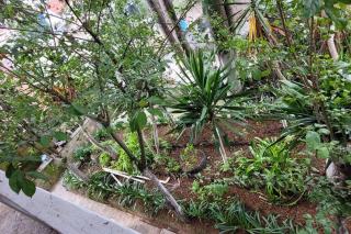 Casa Flores de la Montaña - 3