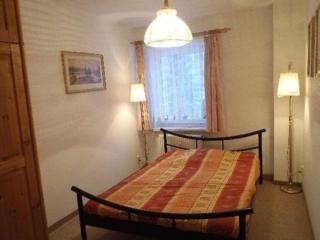 Wohnung In Johanngeorgenstadt Mit Garten - Johanngeorgenstadt - 7