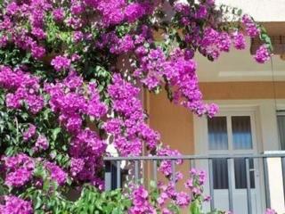 Holiday Flat - 7