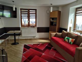 Apartmán Sázava - Žďársko - Sázava - 0