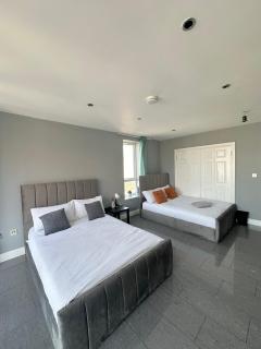 Luxury private Room in CENTRAL LONDON - Londra - 8