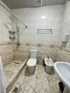 Almir Hotel - Tashkent - 1