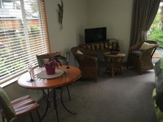 Park view Greenmeadows Napier - Napier - 6