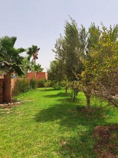 La Villa Olive - Riaïna - 7