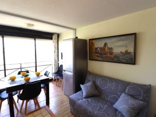 Appartement 2 pièces avec piscines, proche plage et commerces, parking privé, clim, idéal famille - FR-1-307-273 - 2