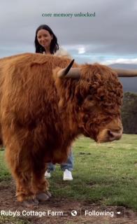 Ruby's Cottage Farm Stay - Port Arthur - 3