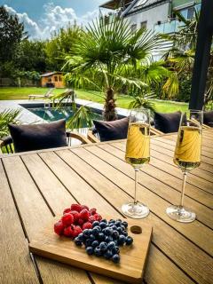 Villa Vienna mit POOL - 5