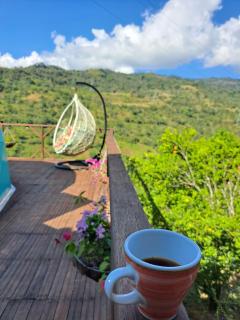 The Luxury Glamping Star - San Gil - 2