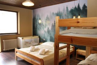 Wellness Villa Totina - Demänová - Liptovský Mikuláš - 9