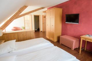 Landgasthof Linde - In ruhiger, ländlicher Umgebung - Deggenhausertal - 8