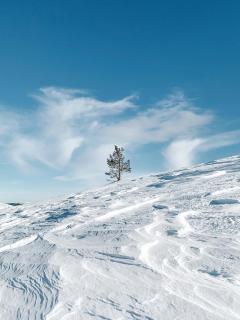 Lux Lapland Gielas Ski-in Ski-out, Aurora View, Utsuvaara Levi - Levi - 5