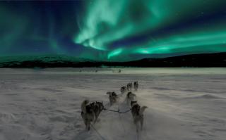 Lux Lapland Gielas Utsuvaara Levi - Levi - 4