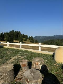 Planinski beg, Tara, Sekulići - Sekulić - 1